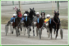 Trieste trotto