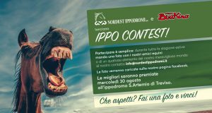 ippocontest grande